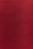 Aoife Mesh Maxi Skirt Raspberry