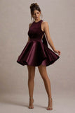 Mackie Port Velvet Sleeveless Skater Mini Dress