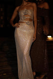 Stassie Strapless Rose Diamante Maxi Dress Nude