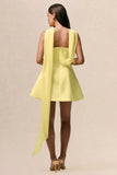 Love Me Lemon Satin Skater Mini Dress With Chiffon Scarf