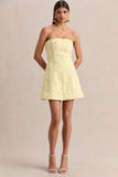 Natalie Lemon Lace Bandeau Mini Dress