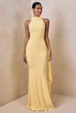 Cordy Lemon High Neck Maxi Dress With Cape