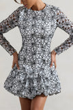 Claribel Black White Lace Long Sleeve Mini Dress With Ruffle Hem