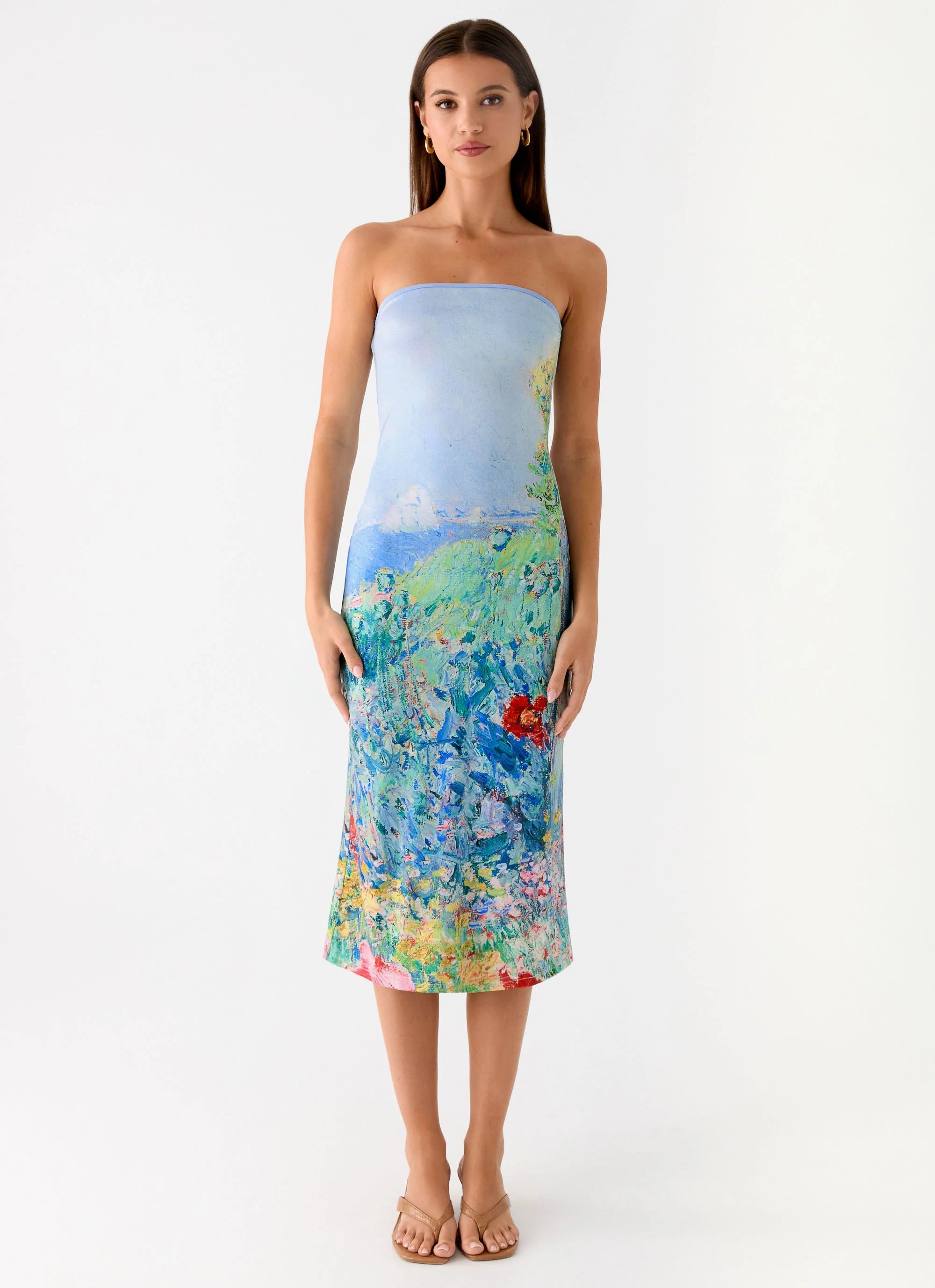 Niko Strapless Midi Dress Spring Garden
