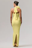 Harriet Lemon Plunge Neck Maxi Dress With Floral Detail